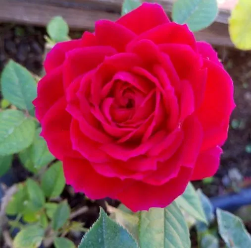 Hébergement de vacances Casa Yoel