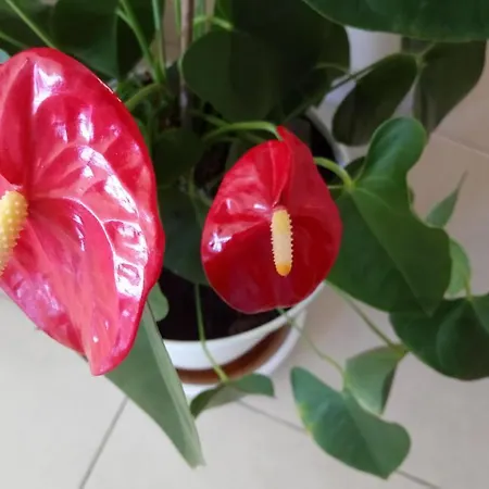 Casa Yoel Дом отдыха