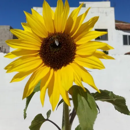 Casa Yoel Prázdninový dům